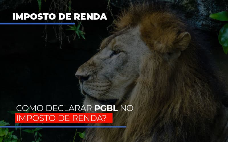 Ir2020:como Declarar Pgbl No Imposto De Renda Notícias E Artigos Contábeis - ACF Assessoria Contábil e Fiscal | Contabilidade em Santo André