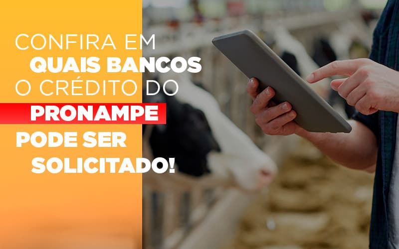 Confira Em Quais Bancos O Credito Pronampe Ja Pode Ser Solicitado Notícias E Artigos Contábeis Notícias E Artigos Contábeis - ACF Assessoria Contábil e Fiscal | Contabilidade em Santo André