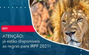 Ja Estao Disponiveis As Regras Para Irpf 2021 - ACF Assessoria Contábil e Fiscal | Contabilidade em Santo André