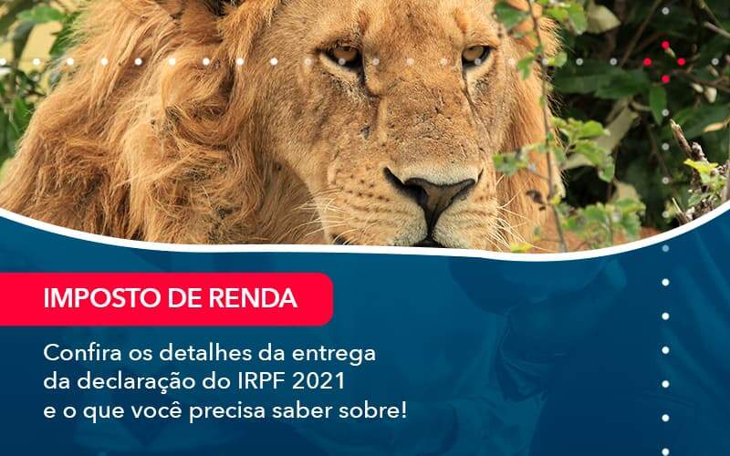 Confira Os Detalhes Da Entrega Da Declaracao Do Irpf 2021 E O Que Voce Precisa Saber Sobre 1 - ACF Assessoria Contábil e Fiscal | Contabilidade em Santo André