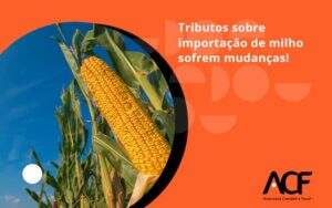 Tributos Sobre Importação De Milho Sofrem Mudanças! Acf Consultoria - ACF Assessoria Contábil e Fiscal | Contabilidade em Santo André